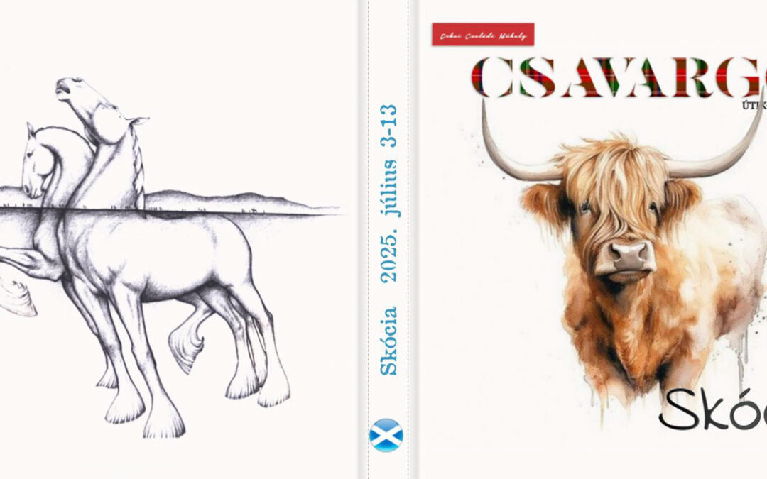 CEWE-Bingó – 2025. október – borító