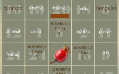 CEWE-Bingó – 2025. – november