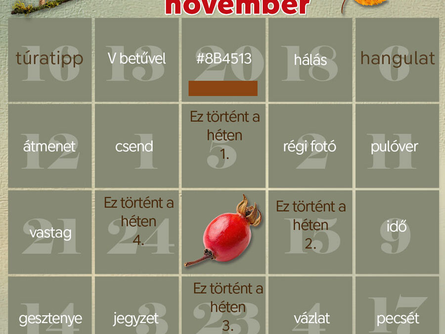 CEWE-Bingó – 2025. – november