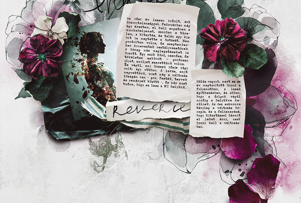 CEWE-Bingó – 2025. november – elmélkedés