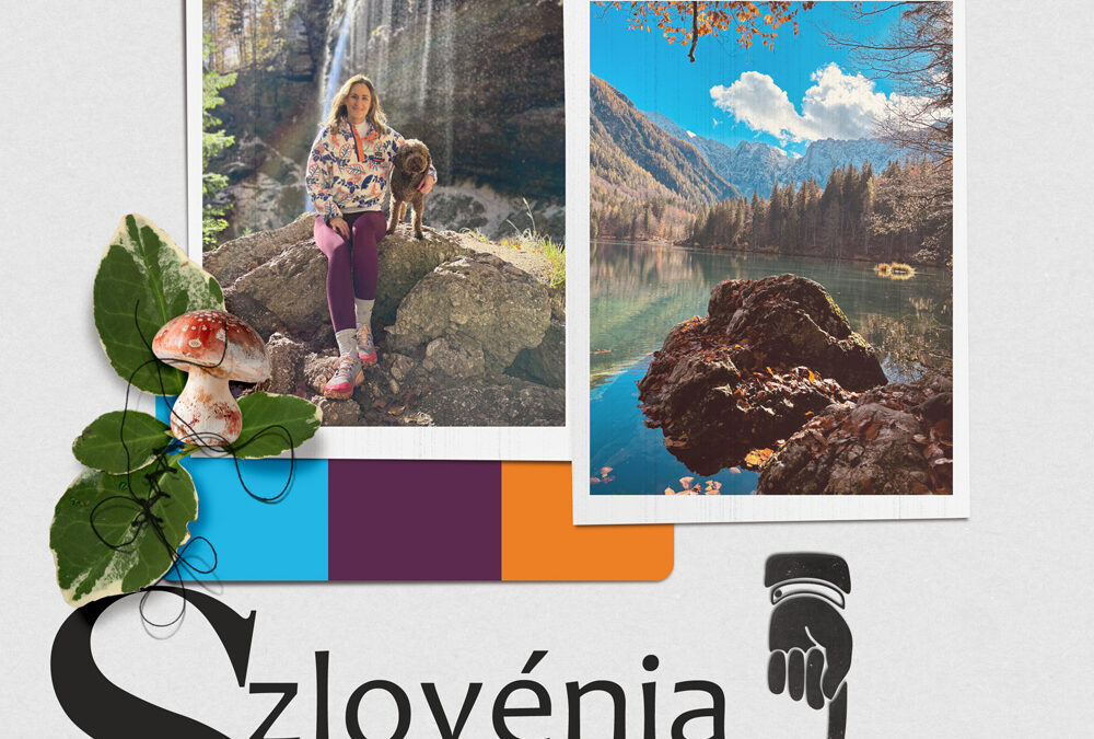 CEWE-Bingó – 2025. november – túratipp