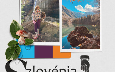 CEWE-Bingó – 2025. november – túratipp