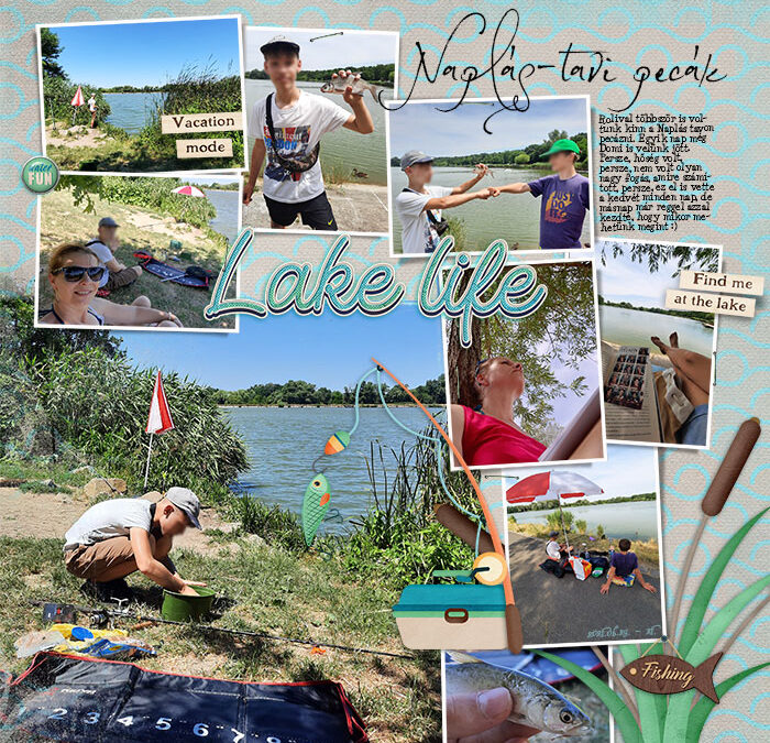 CEWE-Bingó – 2026. február – vissza a nyárba