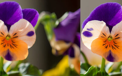 Topaz Gigapixel a Photoshopban: új korszak a képek felskálázásában