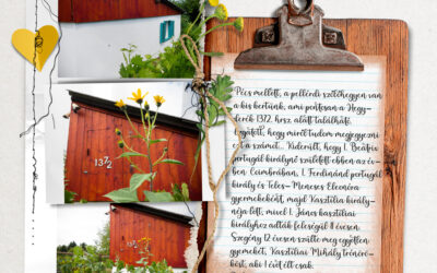 Bingó – 2026. augusztus – cím